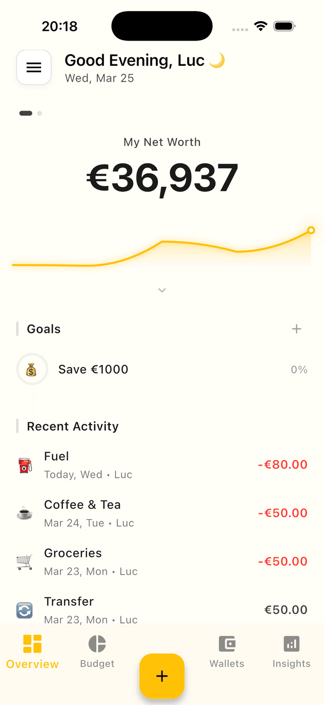 Budget overview screen